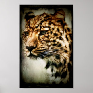 Poster Guépard