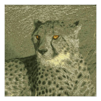 guépard métallique
