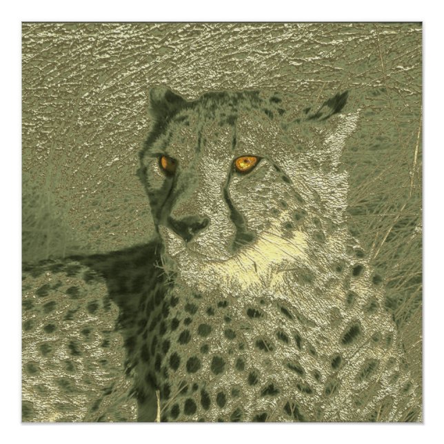 Poster guépard métallique (Devant)