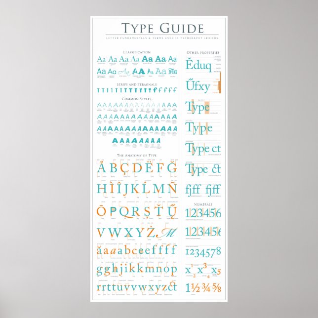 Poster Guide d'anatomie de type (Devant)