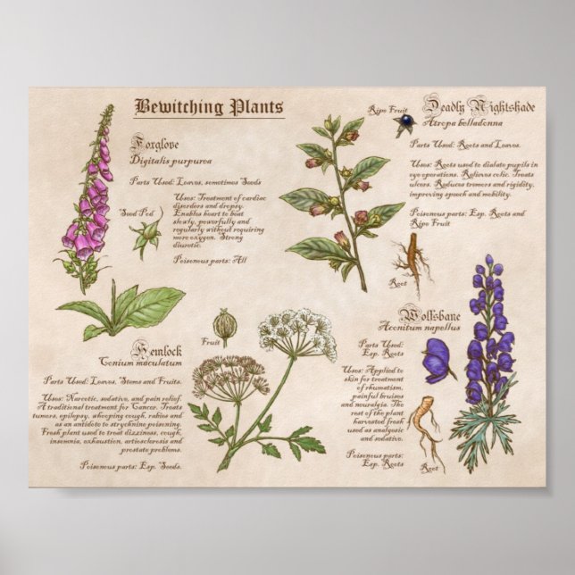 Poster Guide de suivi des Plantes Imprimer (Devant)