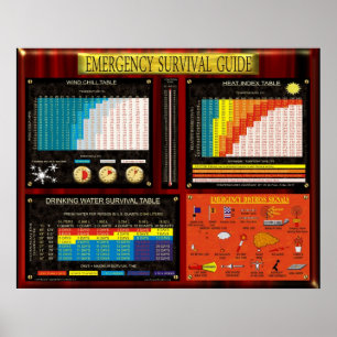 POSTER GUIDE DE SURVIE D'URGENCE
