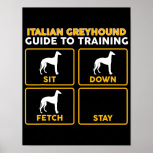 Poster guide ludique italien greyhound