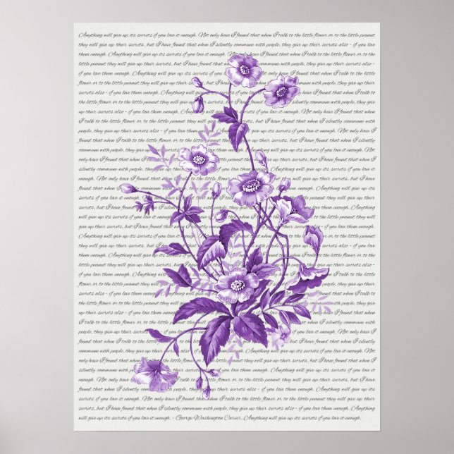 Poster Guillemet de George Washington Carver (Devant)