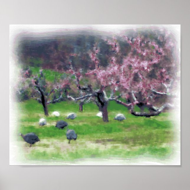 Poster Guineas in the Orchard Imprimer/Poster (Devant)