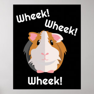 Poster Guinée amour du porc