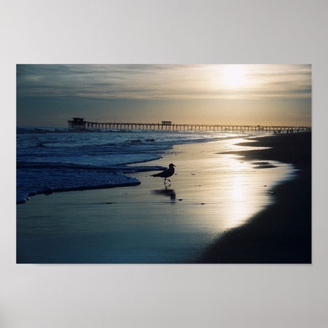 Poster Gull (Devant)