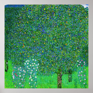 Poster Gustav Klimt - Rosiers sous les arbres