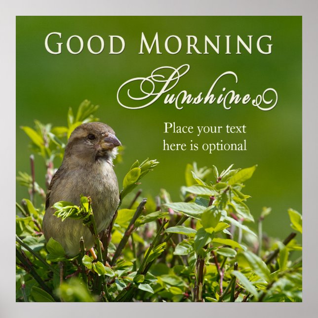 Poster - Guten Morgen Sonnenschein - Vogel in Bush (Vorne)