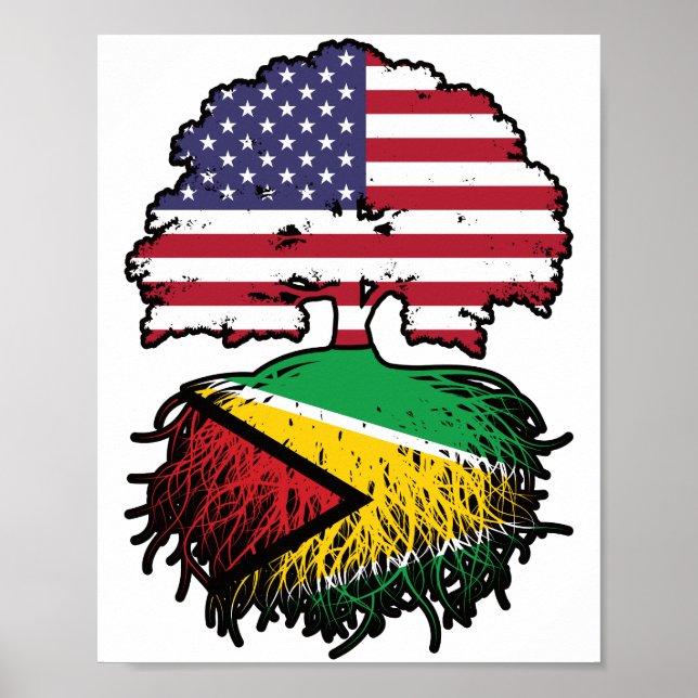 Poster Guyane Guyane Américaine Etats-Unis Drapeau des ra (Devant)