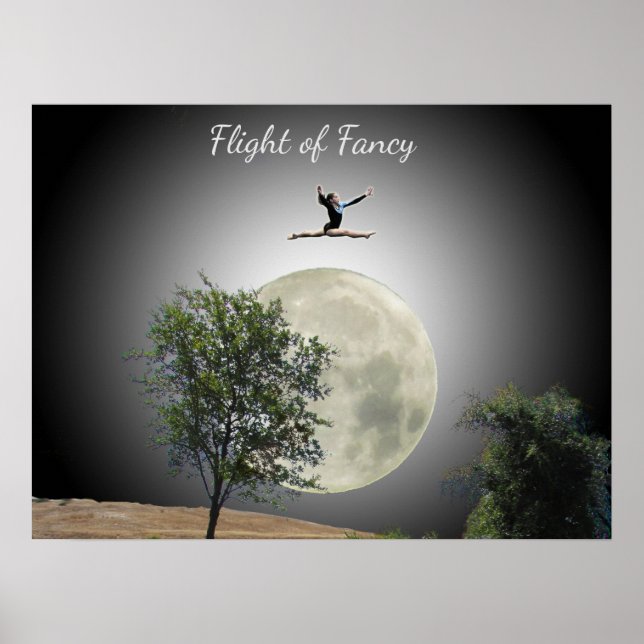 Poster - Gymnases Vol de fantaisie (Devant)