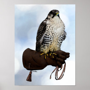 Poster Gyrfalcon sur Glove
