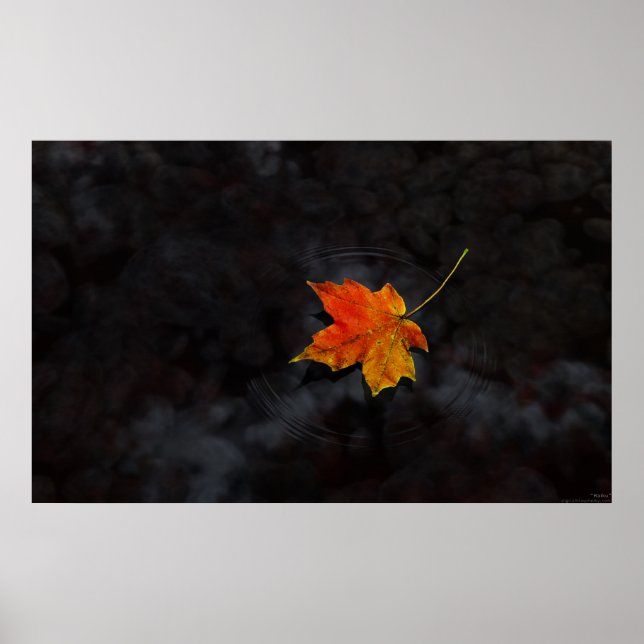 Poster Haiku (Devant)