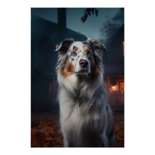 Poster Halloween, berger australien (Devant)