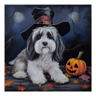 Poster Halloween Citrouilles Havanais effraie
