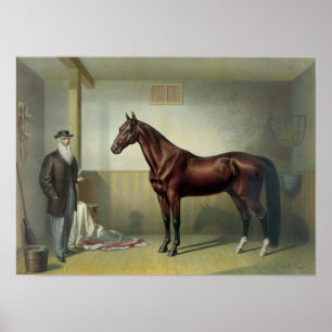 Poster Hambletonian de Rysdyk - 1876