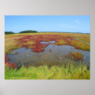 Poster Hammonasset