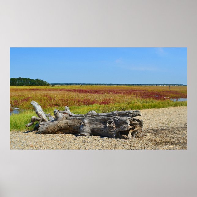 Poster Hammonasset Driftwood (Devant)