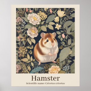 Poster Hamster Nom scientifique Animal