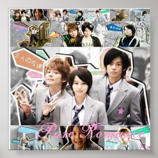 Poster hanakimi, romance pure (Devant)