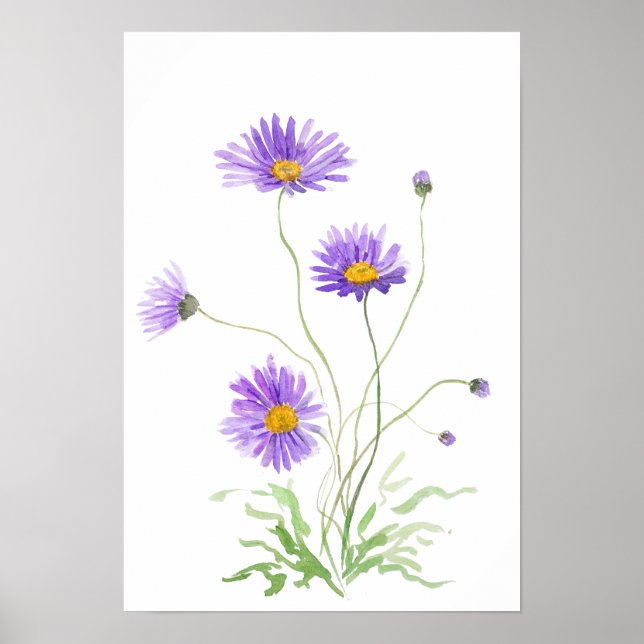 Poster hand painted purple daisy watercolour (Devant)