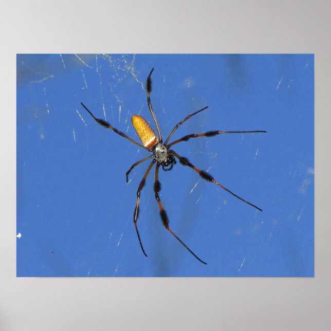 Poster Hangin' Out (Devant)