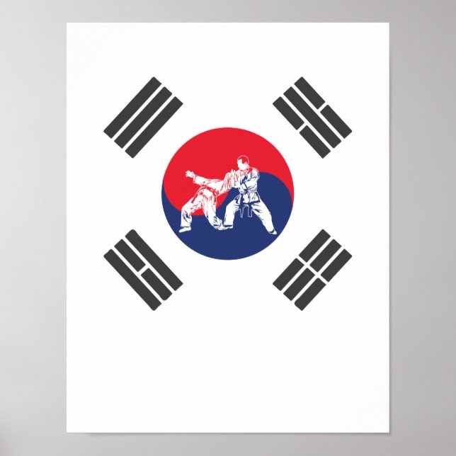 Poster Hapkido Südkorea Flagge Kampfkunst Corée (Devant)