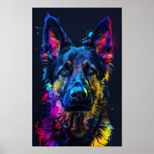 Poster Happy Husky Cross avec Shepher Allemand à Haired C