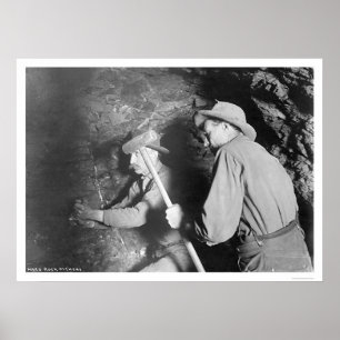 Poster Hard Rock Miners Alaska 1916