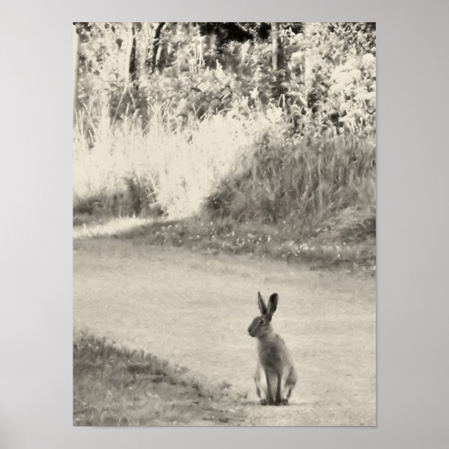 Poster Hare aujourd'hui (Devant)