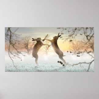 Poster Hares de boxe