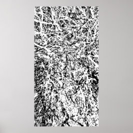 Poster Harmonie primitive