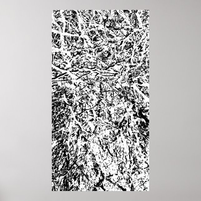 Poster Harmonie primitive (Devant)