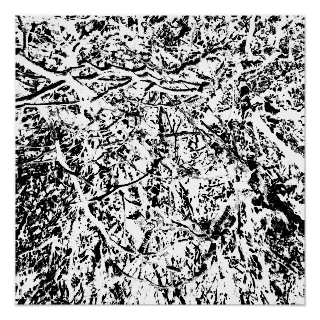 Poster Harmonie primitive (Devant)