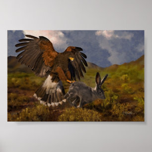 Poster Harris Hawk et Jacklapin