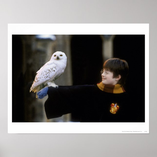 Poster Harry et Hedwig 3 (Devant)