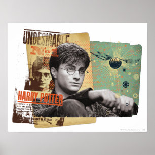 Poster Harry Potter 13