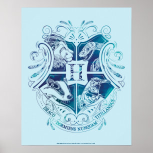 Poster Harry Potter Aguamenti HOGWARTS™ Crest