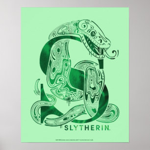 Poster Harry Potter   Aguamenti SLYTHERIN™ Graphique