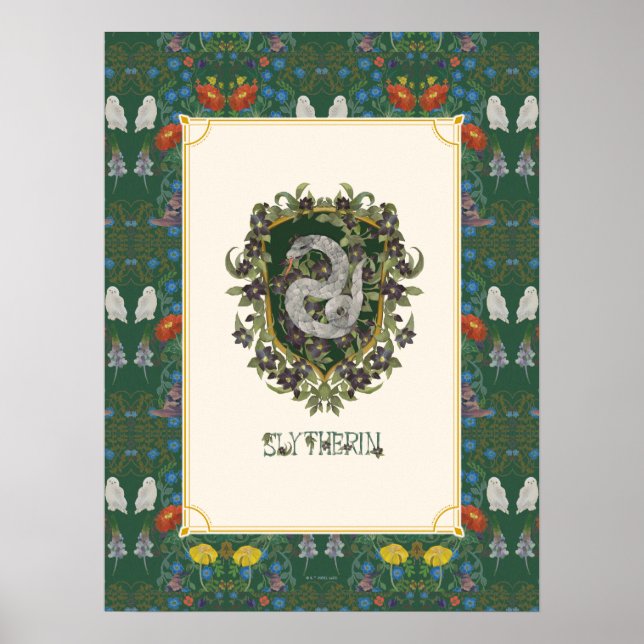 Poster HARRY POTTER™ | Blason SLYTHERIN™ (Devant)