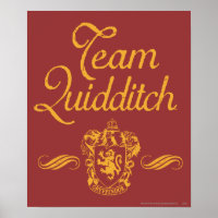 Harry Potter | Équipe QUIDDITCH™