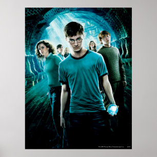 Poster HARRY POTTER ET L'ORDRE DU PHÉNIX™ Bleu