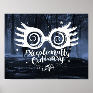 Poster Harry Potter Exceptionnellement ordinaire