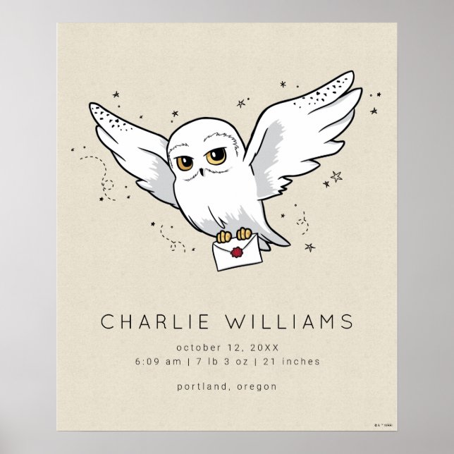 Poster Harry Potter | Hedwig Baby Birth Stats (Devant)