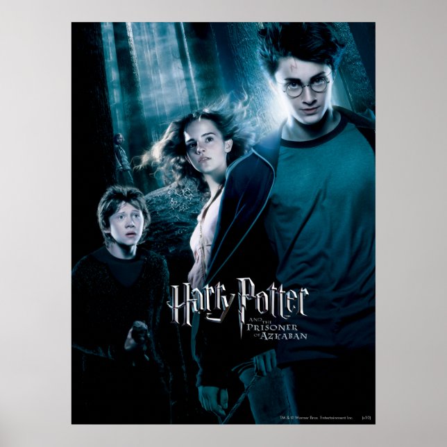 Poster Harry Potter Ron Hermione En Forêt (Devant)