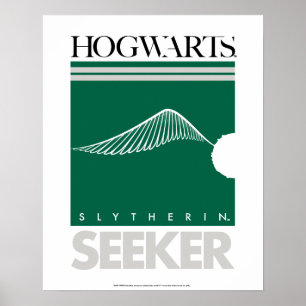 Poster Harry Potter   SLYTHERIN™ House Quidditch Seeker