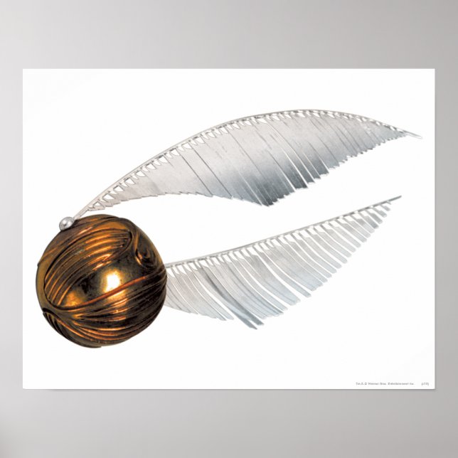 Poster Harry Potter Spell| Golden Snitch (Devant)