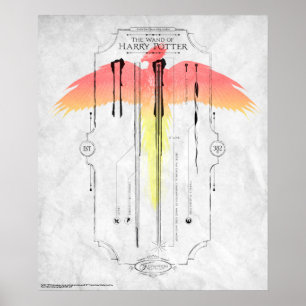 Poster Harry Potter Spell Harry's Wand Infographic
