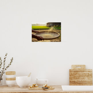 Poster Harvest Grain, Rice Field