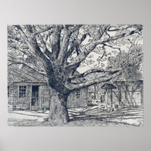 Poster Hassam - Chêne Et Vieille Maison Au Printemps